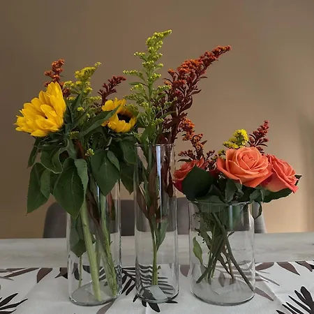 Casa Giada Sul Trasimeno *